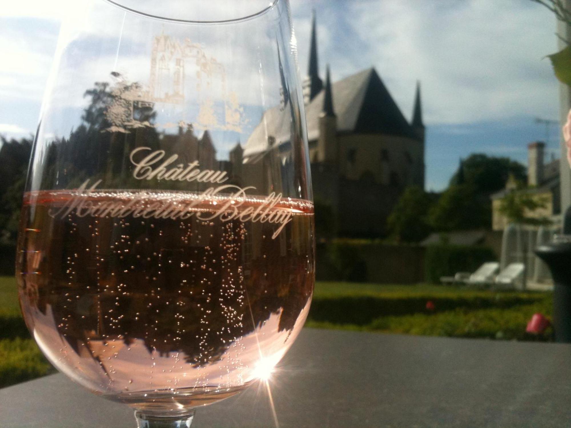 Hotel Spa Le Relais Du Bellay Montreuil-Bellay Zewnętrze zdjęcie